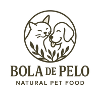 Boladepelo